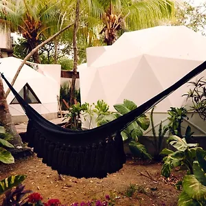 Frequency Isola Holbox